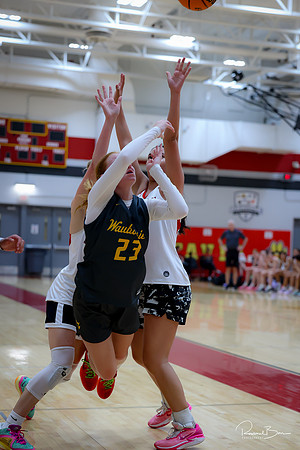 2024 Summer Ball-78