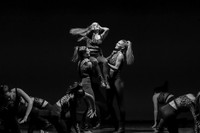 Orchesis - Black & White-11