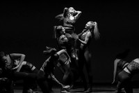 Orchesis - Black & White-10