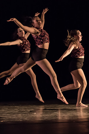 Orchesis - Black & White-14