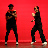 Partner Dance-7