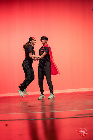 Partner Dance-10