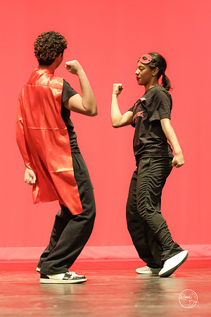 Partner Dance-18