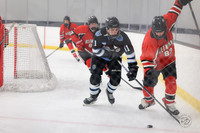 20260228 State Quarter Finals-3