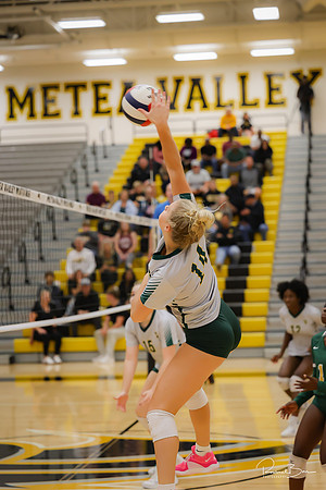 20240924 Metea Valley-61
