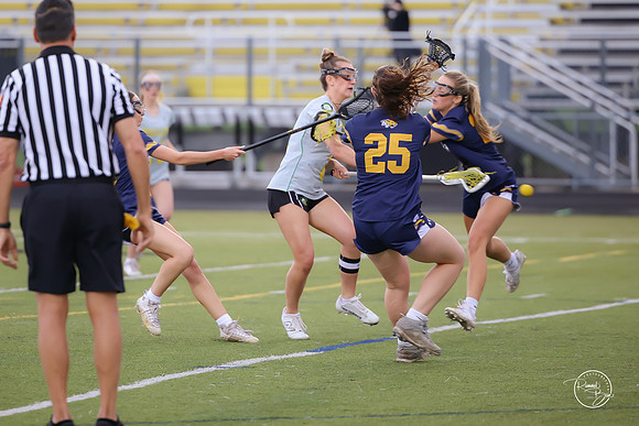 WVHS3631