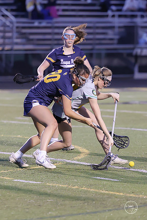 WVHS4073