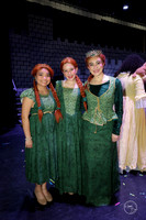 2026 Shrek the Musical-6