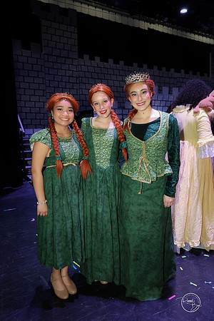 2026 Shrek the Musical-6