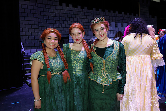 2026 Shrek the Musical-7