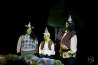 2026 Shrek the Musical-15