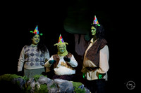 2026 Shrek the Musical-16