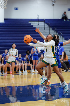 20241223 Wheaton North-13