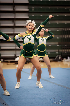 Winter Cheer Showcase-16