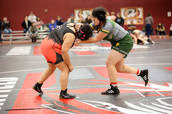 20231122 WV Girls Wreslting-54