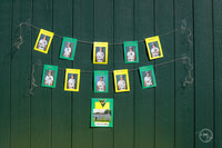 Senior Night   05/14/2026