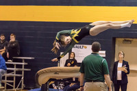 2015-16 WV-MV Girls Gymnastics vs Neuqua Valley-11