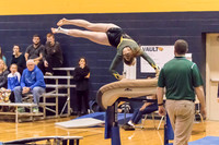 2015-16 WV-MV Girls Gymnastics vs Neuqua Valley-14