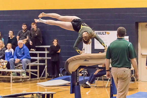 2015-16 WV-MV Girls Gymnastics vs Neuqua Valley-14