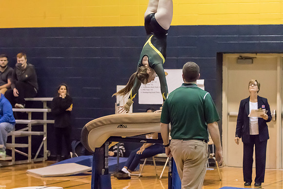 2015-16 WV-MV Girls Gymnastics vs Neuqua Valley-16