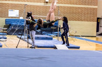 Waubonsie-Metea Girls Gymnastic vs Neuqua Valley