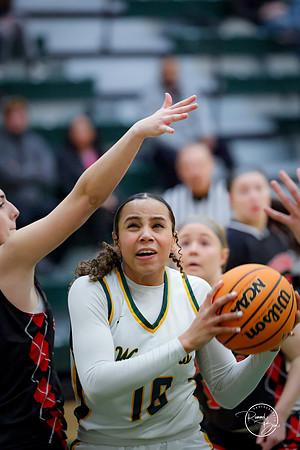 20250211 Naperville Central-7