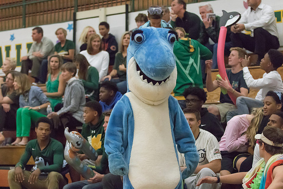 WV Varsity Volleyball Senior Night-29