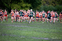 WVHS0397