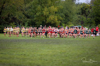 WVHS0385