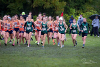 WVHS0387