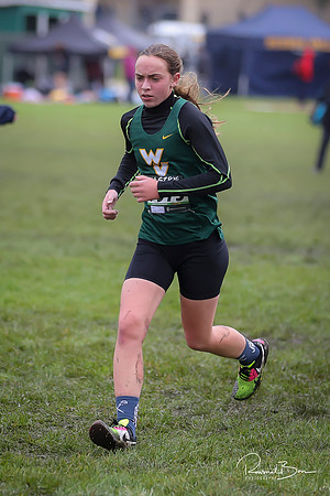 WVHS0528