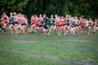 WVHS0406