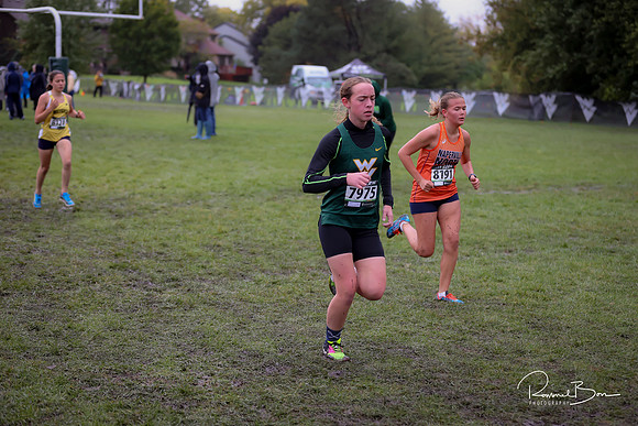 WVHS0446