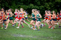 WVHS0410