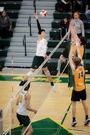 20230405 Lyons Township-30