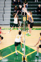 20230405 Lyons Township-8
