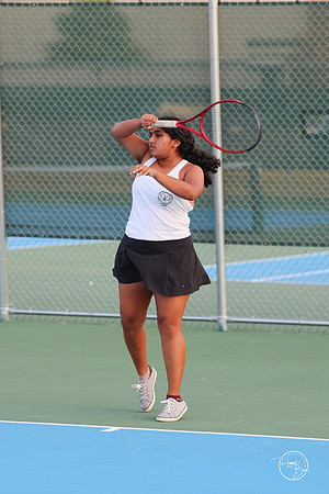 2026 Anusha T-20