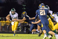 2015 Neuqua Valley Football Game-7