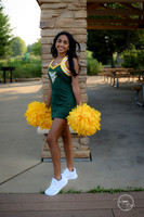 2026 Shaila P-17