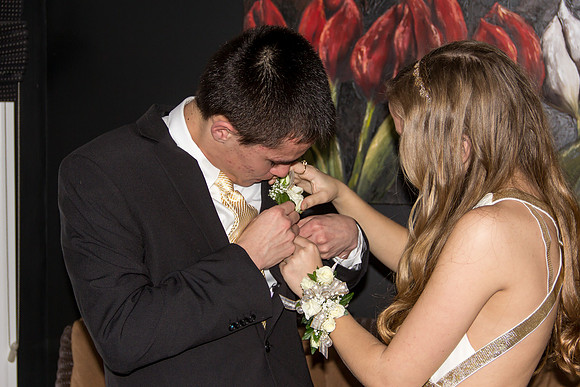 Turnabout 2015-8336