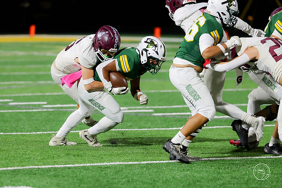 20261016 Lockport-25