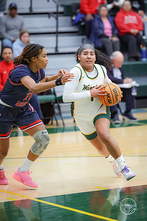 20250220 Girls Basketball Regional Finals-19