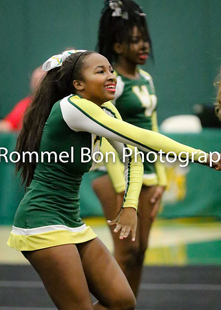 20180116 WV JV Dance Conference-53