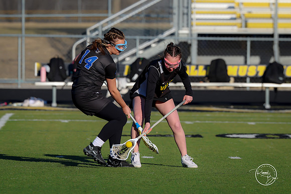 20250317 Lake Zurich JV-8