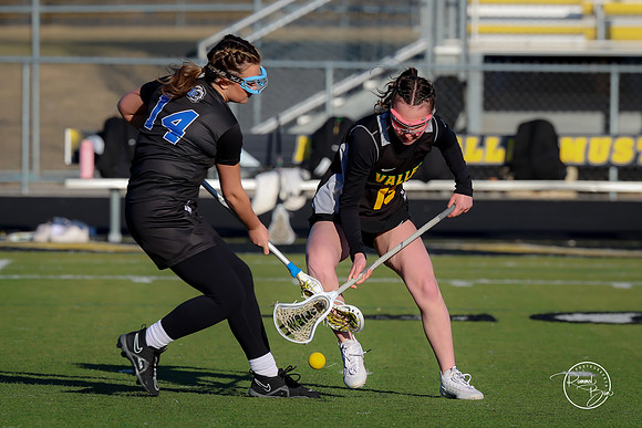 20250317 Lake Zurich JV-7