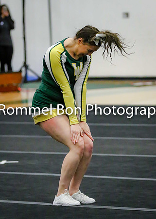 20180116 WV JV Dance Conference-48