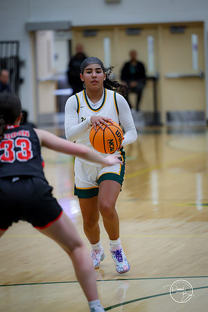 20250211 Naperville Central-94