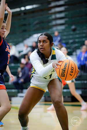 20250206 JV Naperville North-7
