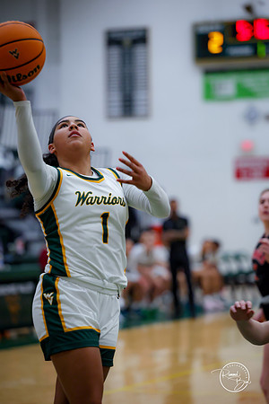 20250211 Naperville Central-19