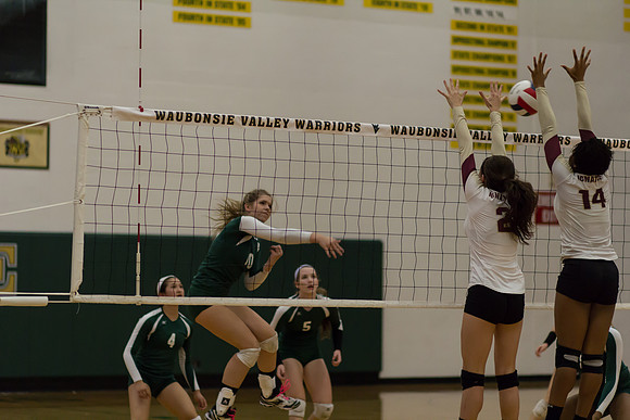 WV-GirlsVBall-6799